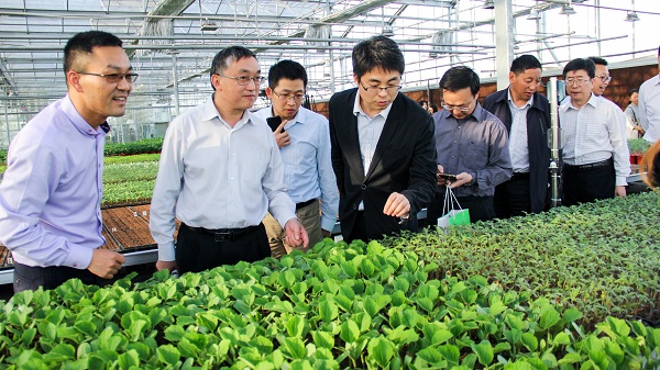 王主任一行參觀托普云農設施農業監測與控制系統 王主任一行參觀托普云農設施農業監測與控制系統