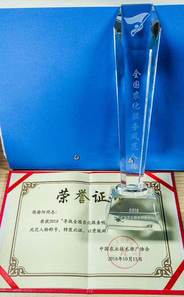 獲獎獎杯與證書 獲獎獎杯與證書