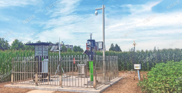 實時采集制種基地農(nóng)情、墑情、病情、蟲情數(shù)據(jù)信息